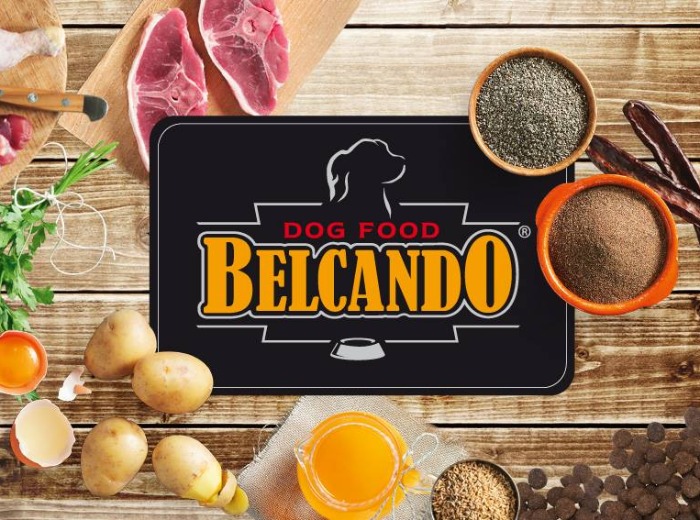 A megfizethető minőség