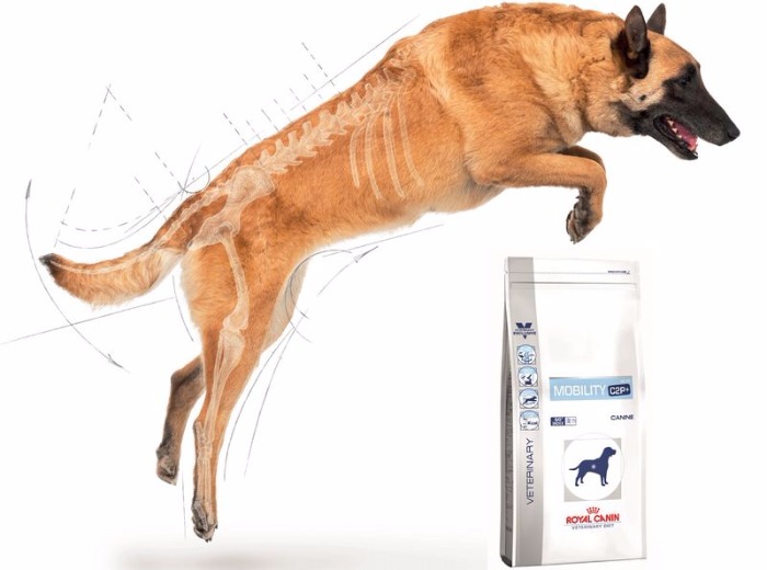 Tudományos ugrás a mozgásszervi panaszok kezelésében!