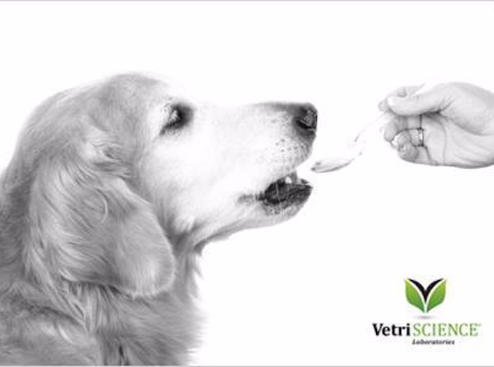 Immunerősítés felsőfokon