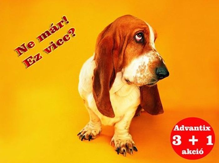 Közhírré tétetik!