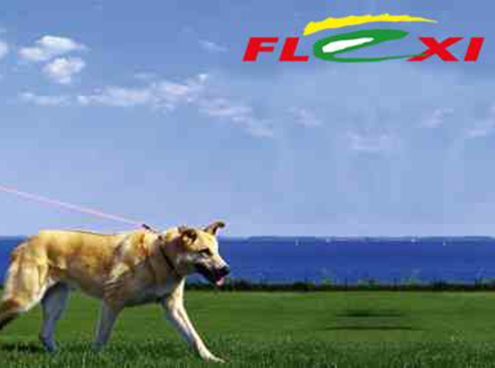 Miért a Flexi póráz?