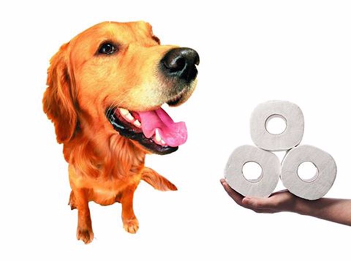 Mikor adjunk probiotikumot?