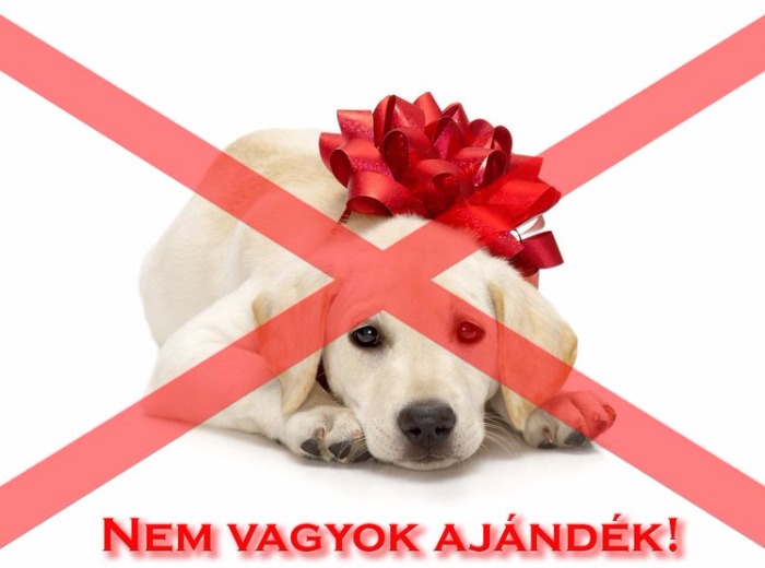 Nem ajándék!