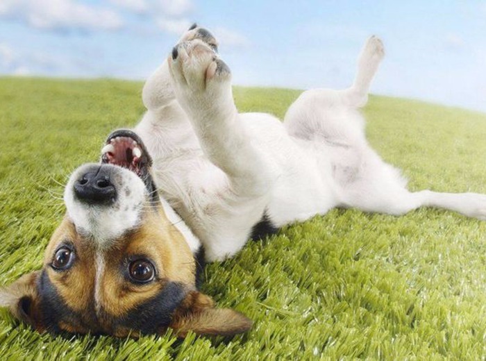 Segítség hasmenés esetén