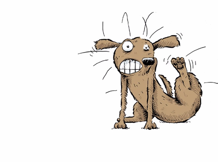 Táplálék allergia új diétás megoldása