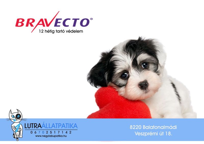 Bravecto